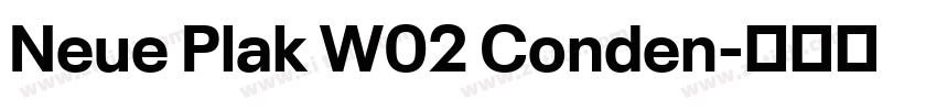 Neue Plak W02 Conden字体转换
